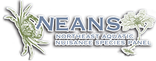 Northeast Aquatic Nuisance Species Panel logo
