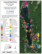 Map image of 2024 aquatic vegetation survey results.