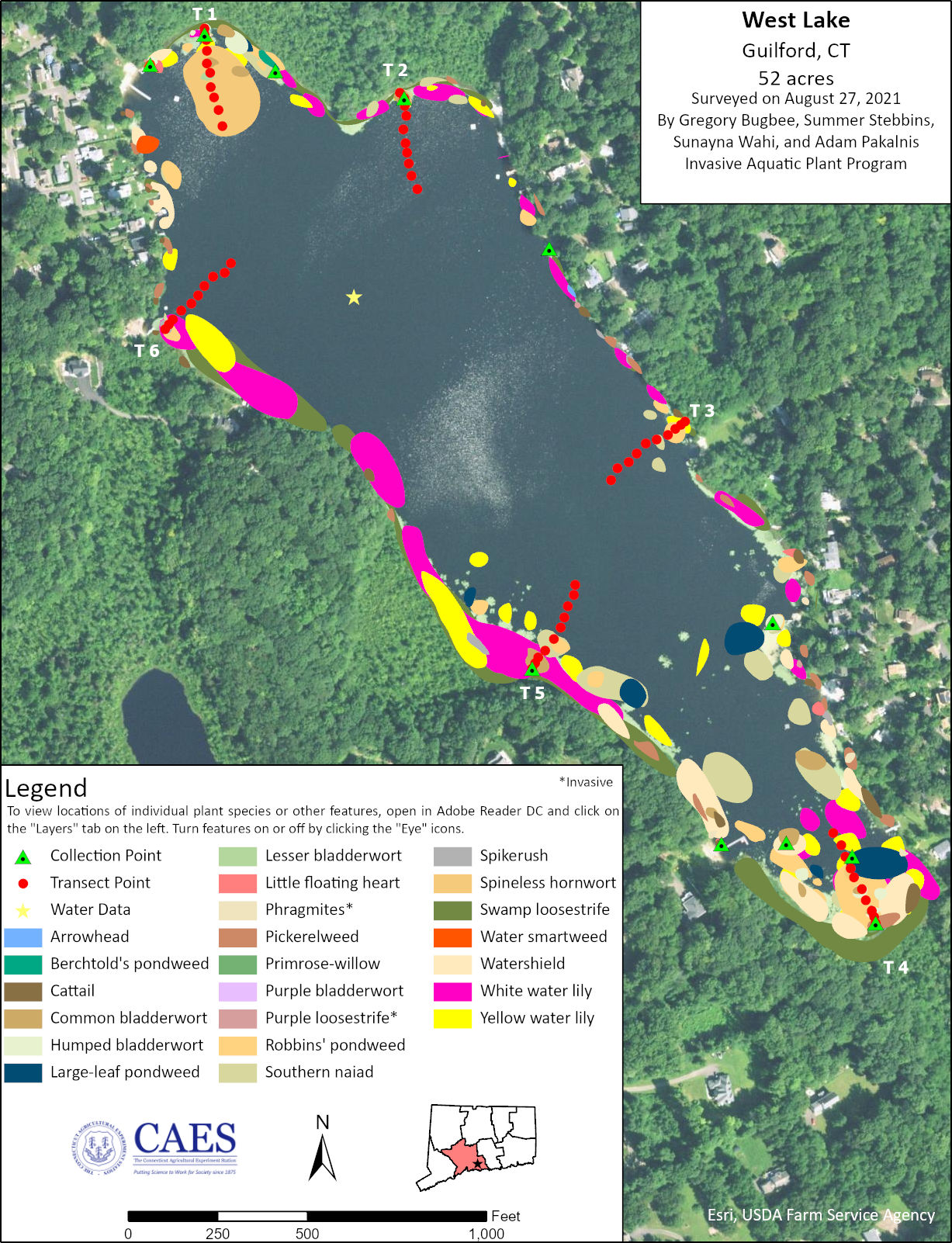 2021 aquatic plant survey map of West Lake in Guilford, CT.