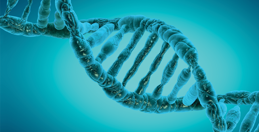 dna chain