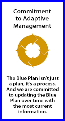 Adaptive Management button