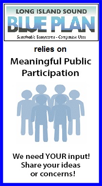 The Blue Plan needs your input!