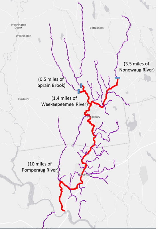 Current distribution of knobfin sculpins