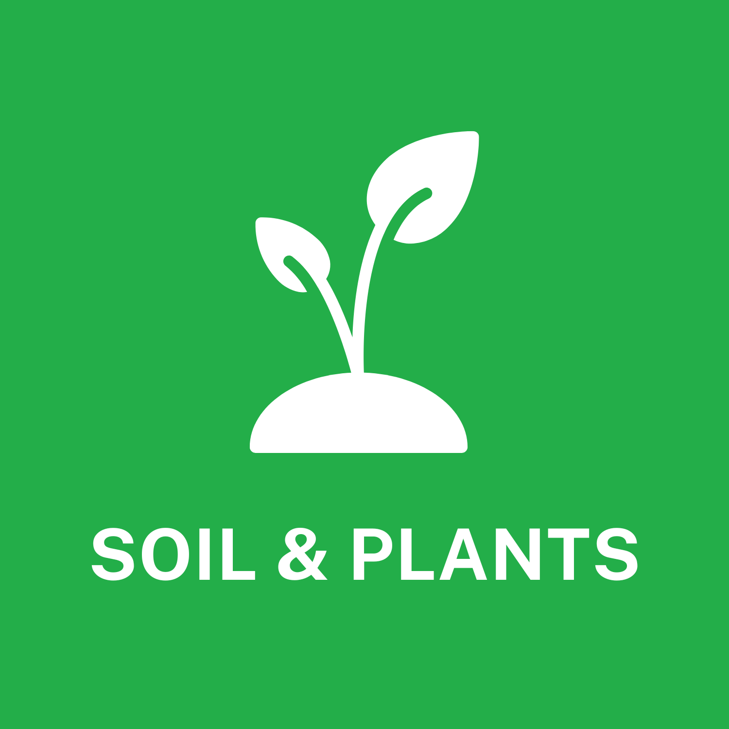 Soil and Plants