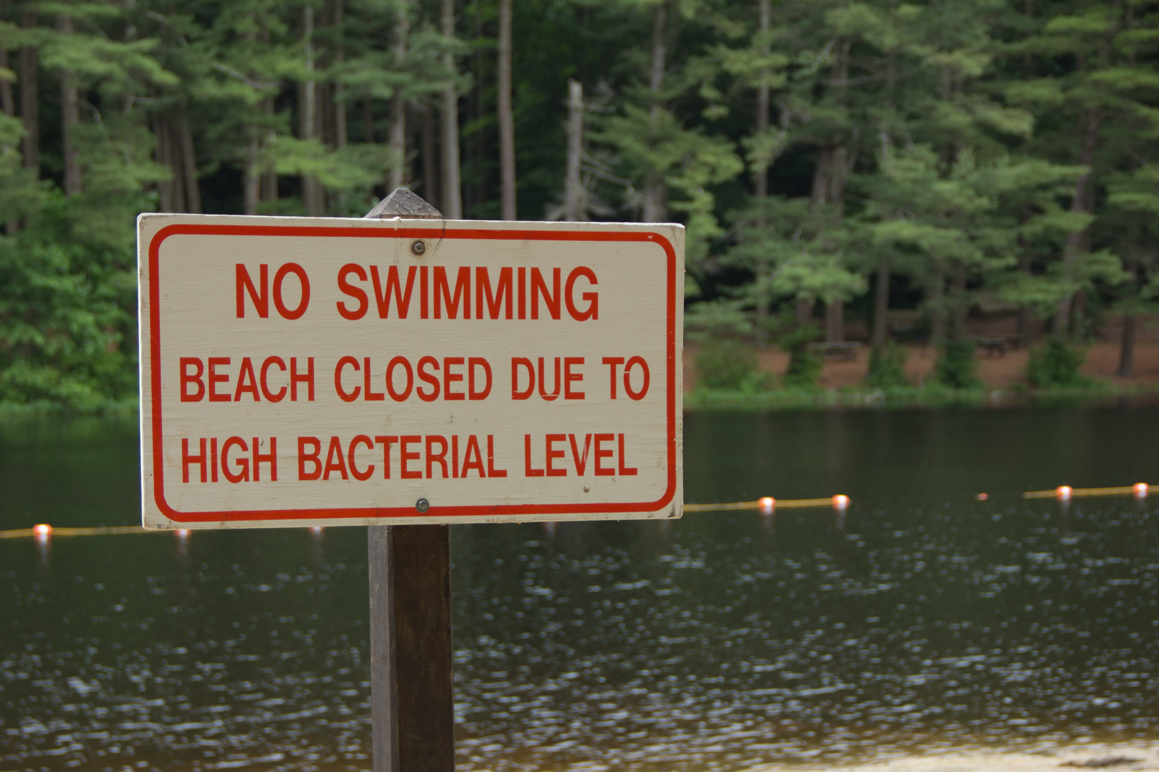 A sign warns the public that a beach is closed due to high bacteria levels.