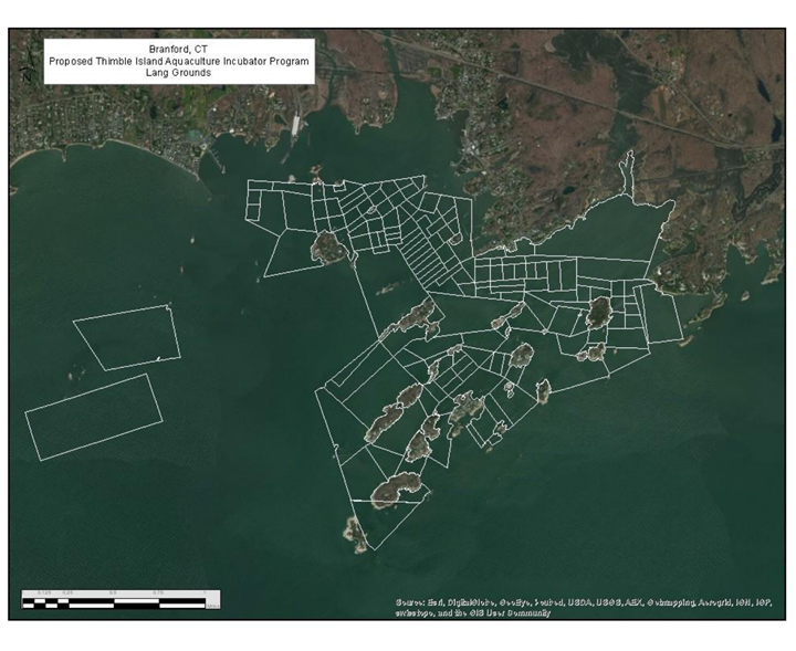 Branford Initiative Map