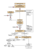 Figure 2 Thumbnail - Assessment Process
